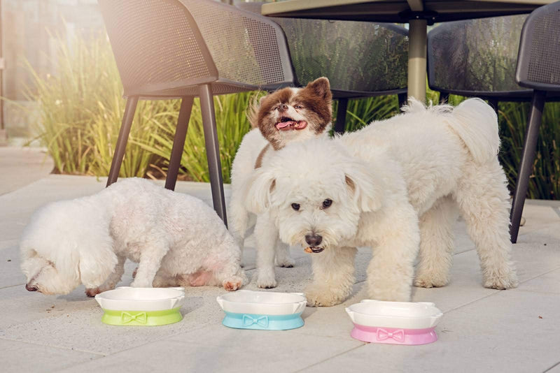 [Australia] - Petique Eco-Friendly PLA Pet Dishes Baby Pink 