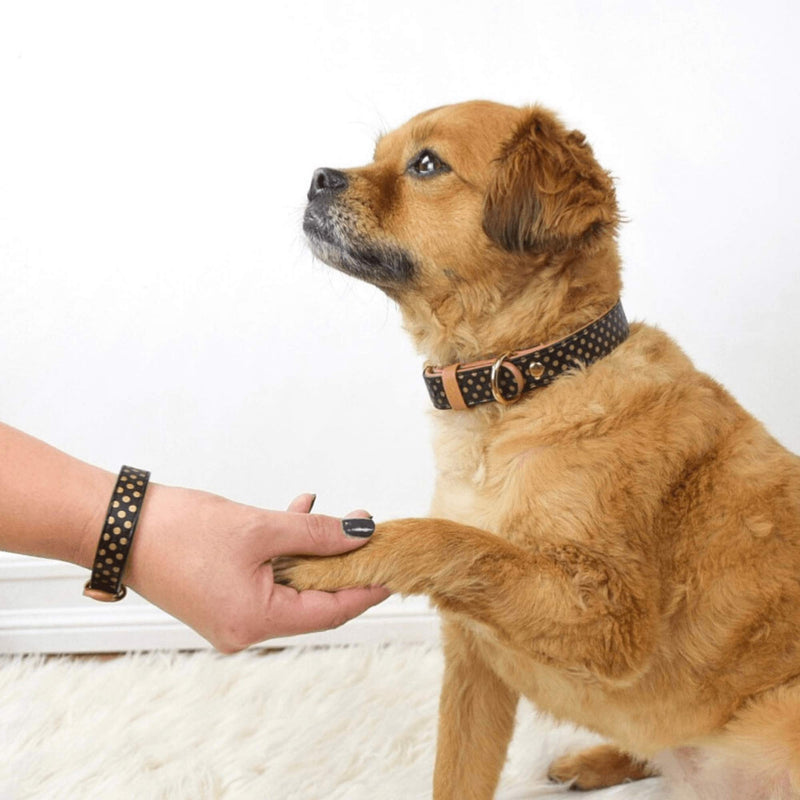FriendshipCollar Dog Collar and Friendship Bracelet - Dotty About You - Medium - PawsPlanet Australia