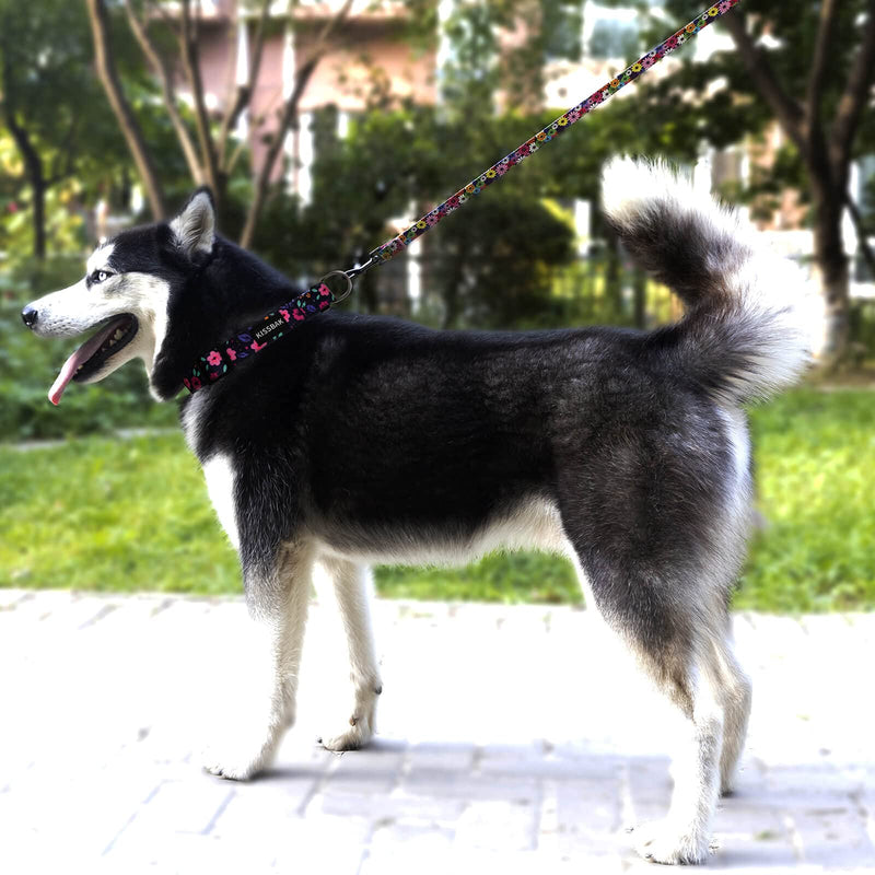 KISSBAK Dog Collar for Small-Medium-Large Dogs - Special Design Cute Girl Dog Pet Collar Soft Adjustable Fancy Floral Girl Puppy Dog Collars XS - PawsPlanet Australia