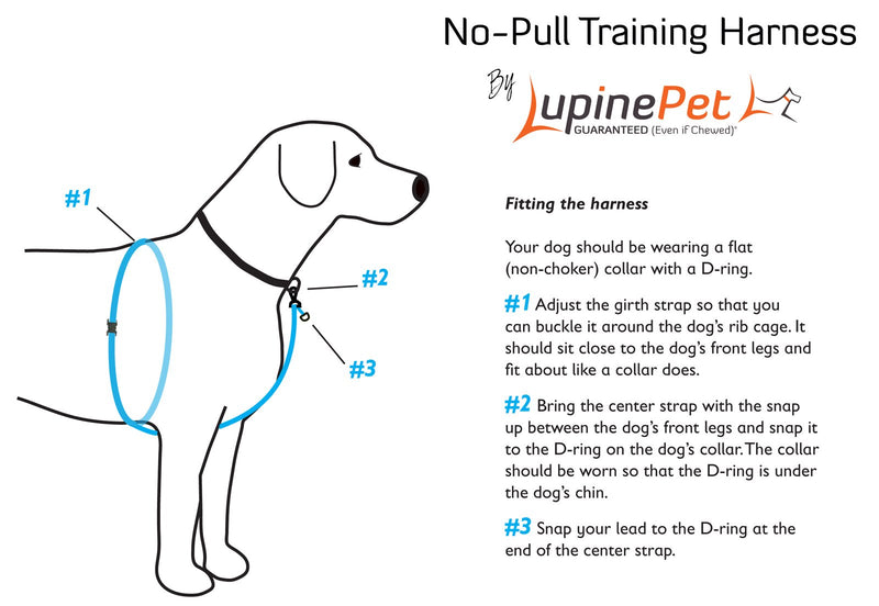 [Australia] - Lupine 3/4 Inch No Pull Harness for Small and Medium Dogs Black 3/4"W; 16-26" Girth 