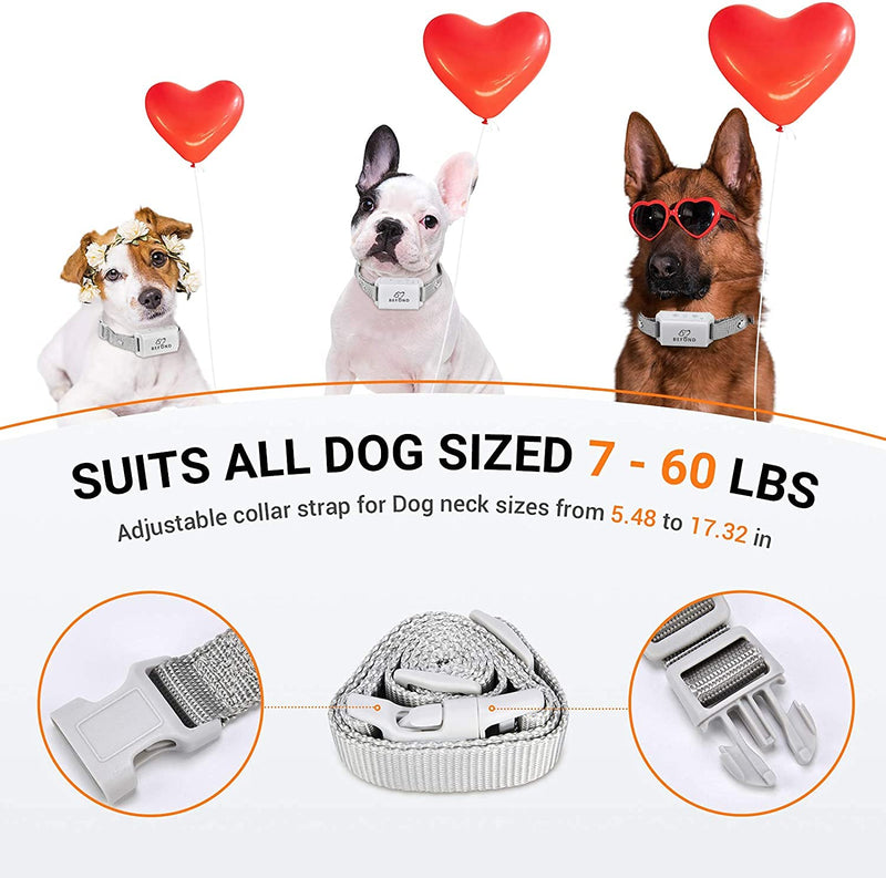 Bark Collar for Dogs, Anti Barking Training Collar with 3 Adjustable Sensitivity and 7 Intensity Beep Vibration for Small Medium Large Dogs (Grey) - PawsPlanet Australia