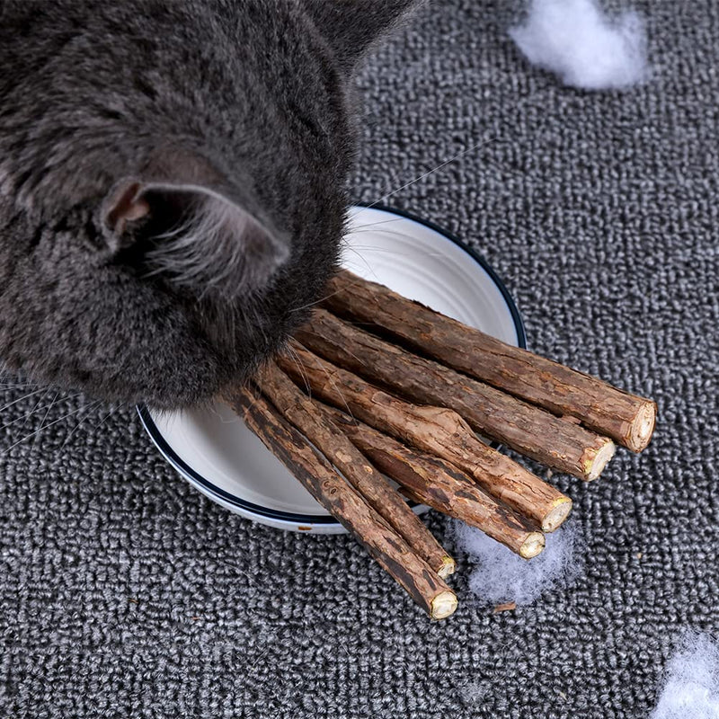 Catnip stick, 20 pieces XiXiRan dental care cat sticks, Matatabi cat chew sticks, cat chewing sticks, catnip sticks toys, pure natural catnip toys, dental care - PawsPlanet Australia