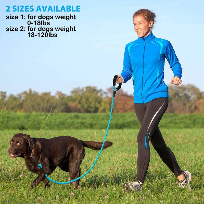 [Australia] - ladoogo 2 Pack 5 FT Heavy Duty Dog Leash with Comfortable Padded Handle Reflective Dog leashes for Medium Large Dogs 0.5in. x 5ft.(for dogs weight 18-120lbs.) 2pack black and blue 