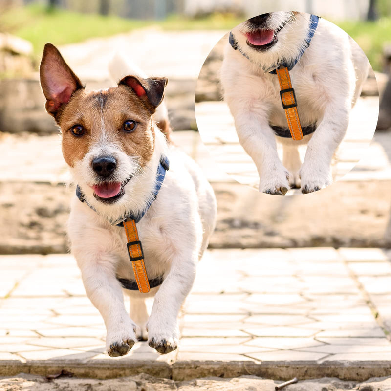 5 Pcs Safety Dog Collar Clips Prong Dog Collar Backup Adjustable Reflective Nylon Dog Collar Connectors Metal Double Ended Backup Clasp for Dog Harness Pet Bright Color - PawsPlanet Australia