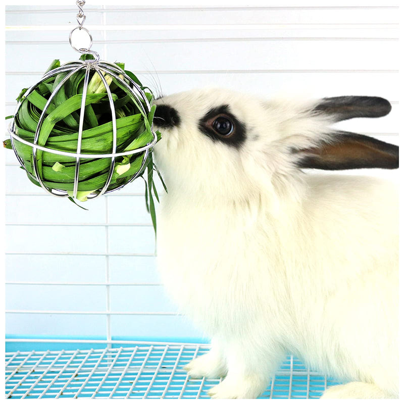 Andiker Rabbit Hay Feeder, Stainless Steel Hay Ball Multifunctional Rotating Grass Ball for Small Animals Such as Rabbits, Chinchillas and Guinea Pigs for Hay Manage (9cm) - PawsPlanet Australia