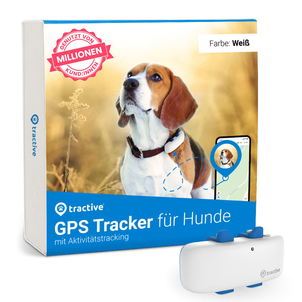 Tractive GPS Tracker for Dogs | Recommended by Martin Rütter | Worldwide live tracking | Runaway alarm | Health Alerts & Activity Tracking | Multiple test winner One Size Single - PawsPlanet Australia