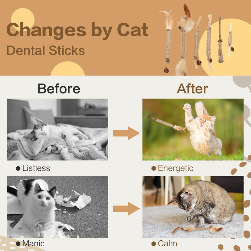 SPOKKI 6 pieces catnip sticks, cat toy set, matatabi stick for cats, dental care, removal of tartar and refreshing breath, organic interaction - PawsPlanet Australia