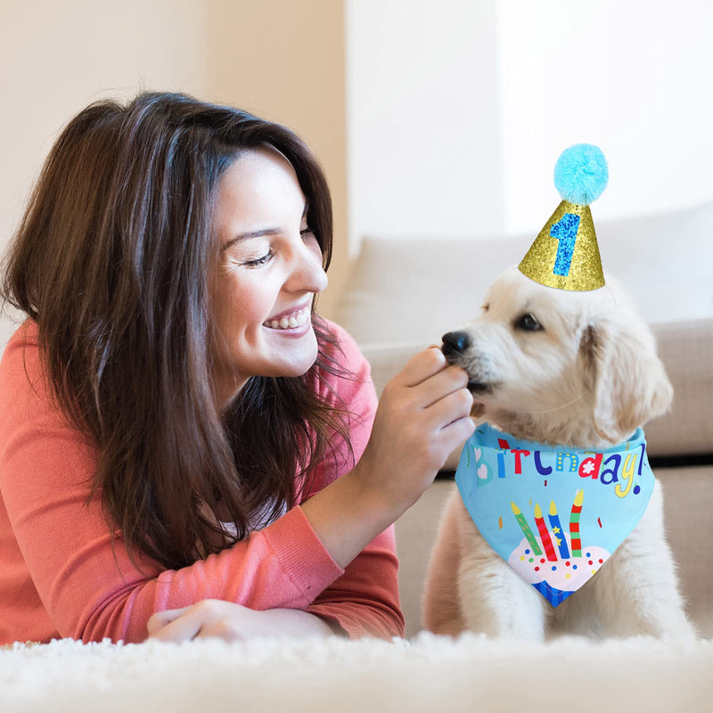 4 pieces Dog Birthday Hat, Cute Bow Tie Scarf Dog Birthday Bandana with Birthday Numbers Dog Party Hat Kit for Dog or Puppy Birthday Decor (Blue) Blue - PawsPlanet Australia
