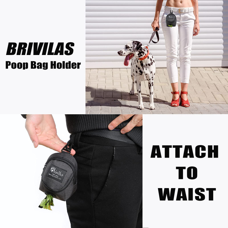 BRIVILAS Dog Poop Bag Holder for Any Dog Leash&Poopbag,Large Waste Bags Dispenser Belt Attachment with Doggie Treat Training Pouch Ideal Gift for Pet Owners Grey - PawsPlanet Australia