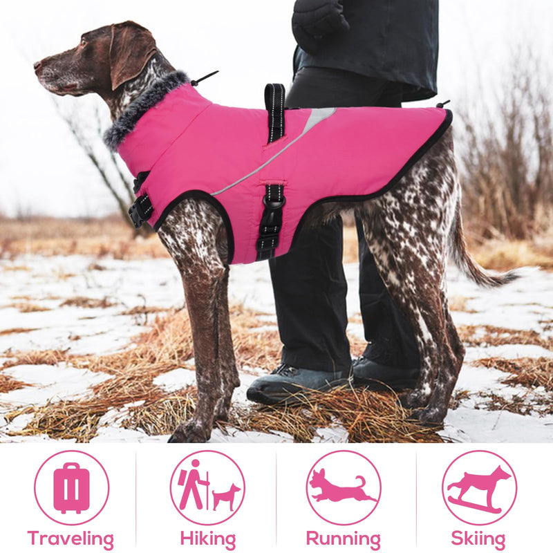 ROZKITCH Extra Warm Dog Coat Waterproof Reflective Adjustable Dog Jacket Dog Winter Coat with Fleece Turtleneck Dog Jacket for Cold Weather Soft Winter Coat for Small Medium Large Dog Rose Red L - PawsPlanet Australia