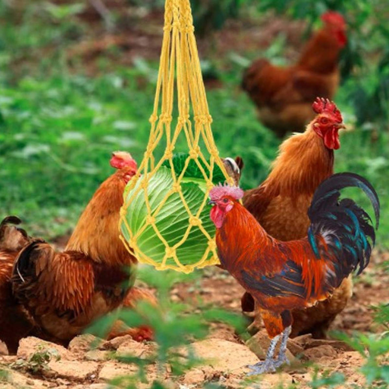 MQUPIN Chicken Vegetable String Bag Fruit Holder,Stainless Steel Hanging Feeder Toy for Hens Chicken Large Birds Pet Feeding Tool - PawsPlanet Australia