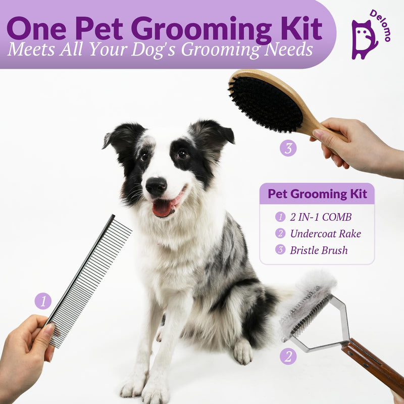 DELOMO Dog Brush Set, Undercoat Rake, Dog Comb, Bristles Brush for Shedding, Dematting, and Deshedding - Ideal Shedding Tool for Medium or Long-haired Dogs and Cats (3PCS) - PawsPlanet Australia