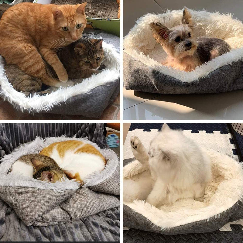 ToKinCen Pet Bed for Cat and Small Dogs, Function 2 in 1 Plush Soft Blanket Cushion Bed for Indoor Cats Dogs Foldable Washable Convertible Self-Warming for Kittens Puppy Dog?grey? - PawsPlanet Australia