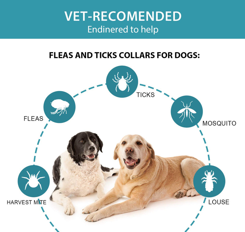 Petsvv 2 Pack Dog Flea Collars with 8-Month Dog Tick and Flea Prevention for Dogs, One Size Fits All, 25 inch - PawsPlanet Australia