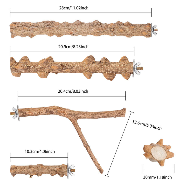 AHANDMAKER Natural Wood Perch, 4 Kinds Bird Perch Platform Bird Cage Accessories for Small Anminals Standing Exercise Toy - PawsPlanet Australia