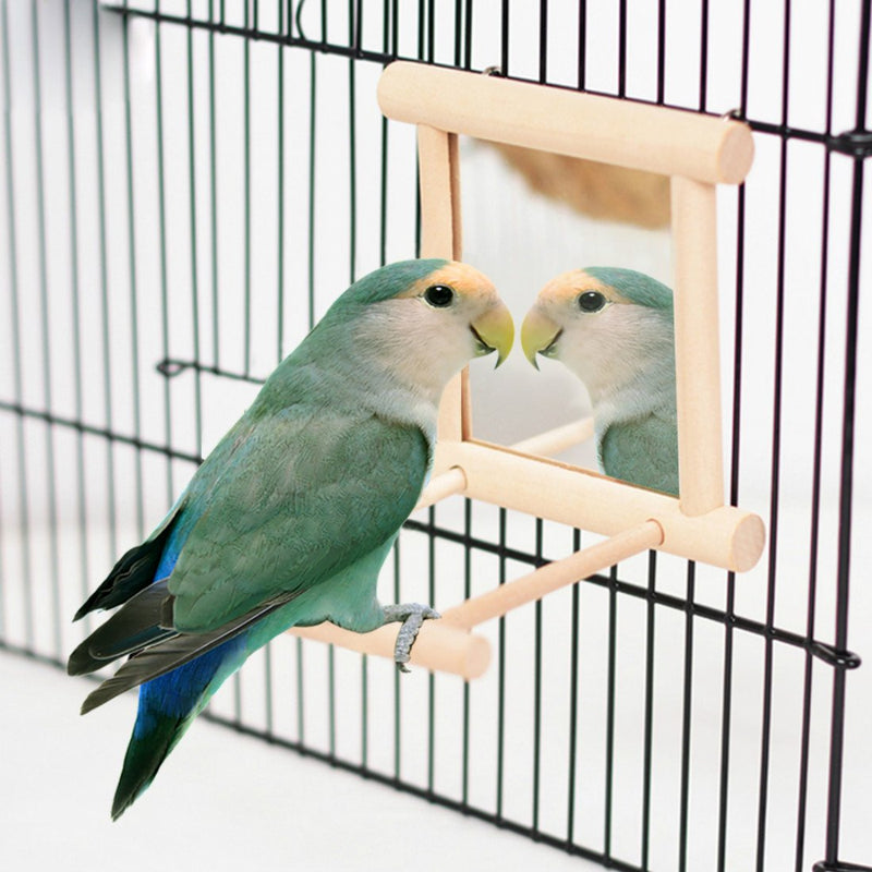 HANZE Bird Mirror with Swing Hummingbird Swing Bird Perches for Parrots Stand Wooden Swing Toy for Macaws Lovebird Cockatoo Parakeet Conure Finch Cockatiels 1 Pack - PawsPlanet Australia