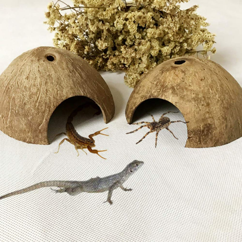 [Australia] - PIVBY Natural Coconut Reptile Hideouts Lizard Coco Hut Hermit Crab Hut Aquarium Fish Hide Cave Spider Snail Climber Toys (2 Packs) 