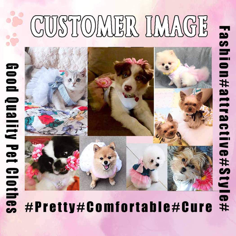 [Australia] - Petea Daisy Flower Gauze Tutu Dog Dress Vest Apparel Skirt Clothes Pet Puppy Bowknot Princess Clothes for Dogs and Cats Small 