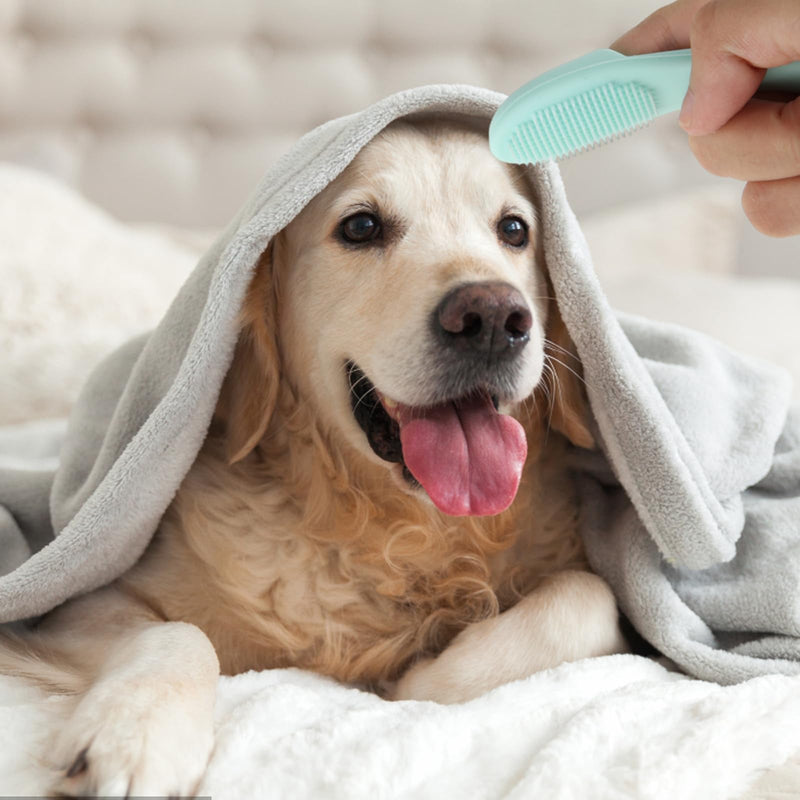 Pack of 4 dog toothbrushes, dog toothbrushes, finger cots, dog dental care, finger toothbrush, dog toothbrush, dental care, effective, for small, medium and large dogs - PawsPlanet Australia