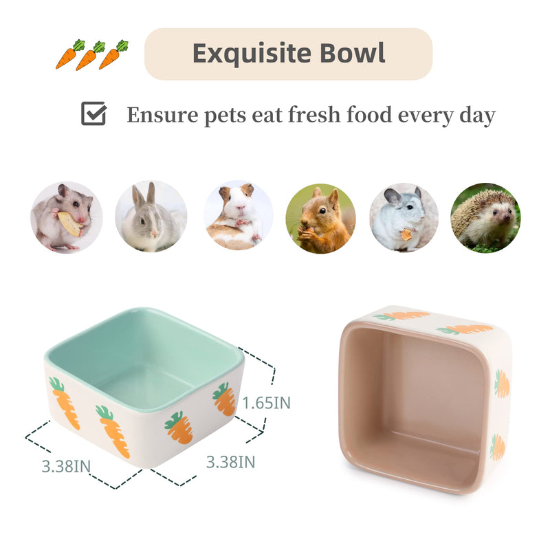 JanYoo Rabbit Food Bowl Guinea Pig Feeder Ceramic for Cage with Water Bowls Supplies and Accessories for Bunny A-Blue+Pink - PawsPlanet Australia