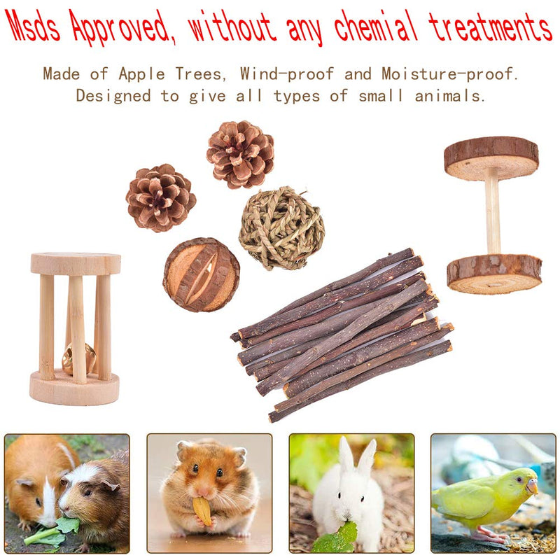 CCCYMM 13 Pcs Pet Natural Wooden Chew Toys Dumbells Exercise Bell Molar Toy for Parrot, Rabbit, Chinchilla, Guinea Pig, Hamster Small Animals - PawsPlanet Australia