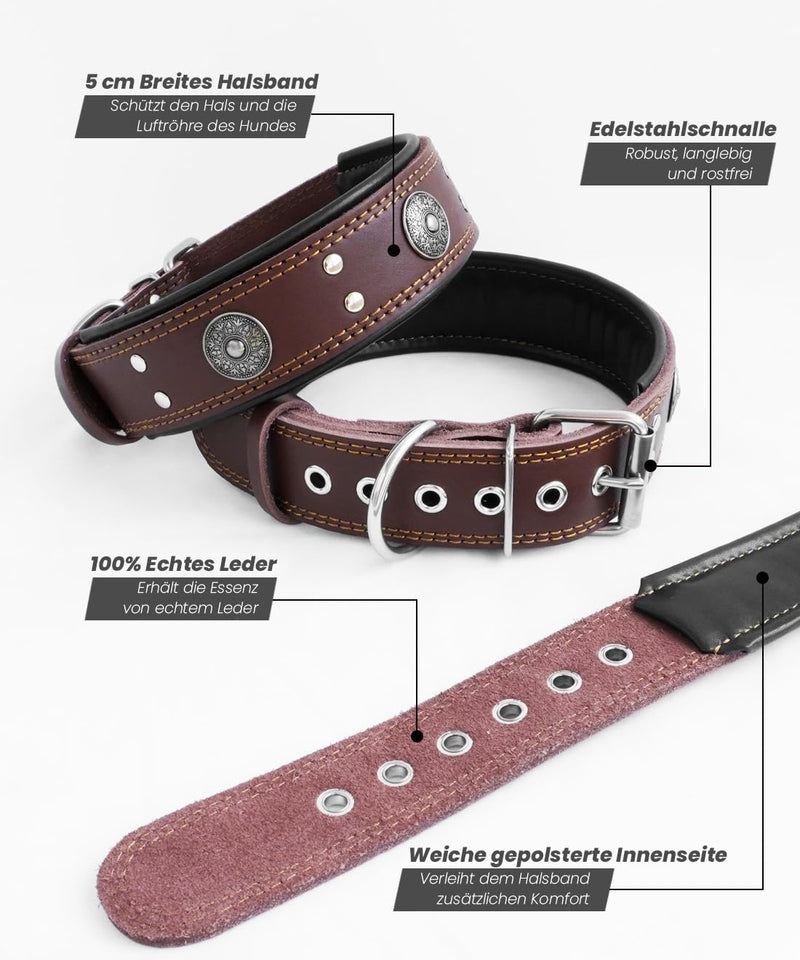 Dog collar leather, 5 cm wide robust genuine leather collar, handmade, soft and luxurious, eye-catching best choice for large and medium dog breeds 57-67.5 cm - PawsPlanet Australia
