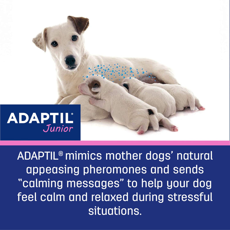 Adaptil JR. Calm On-The-Go-Collar for Puppies | Constant Calming and Comfort Everywhere | Reduce Separation Anxiety and Fear of Loud Noises | Stop Crying at Night - PawsPlanet Australia