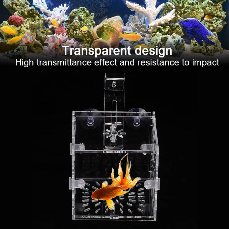 Fish Separation Breeder Box, Acrylic Transparent Fish Tank Breeding Isolation Box Aquarium Hatchery Incubator Holder A-10x10x10cm - PawsPlanet Australia