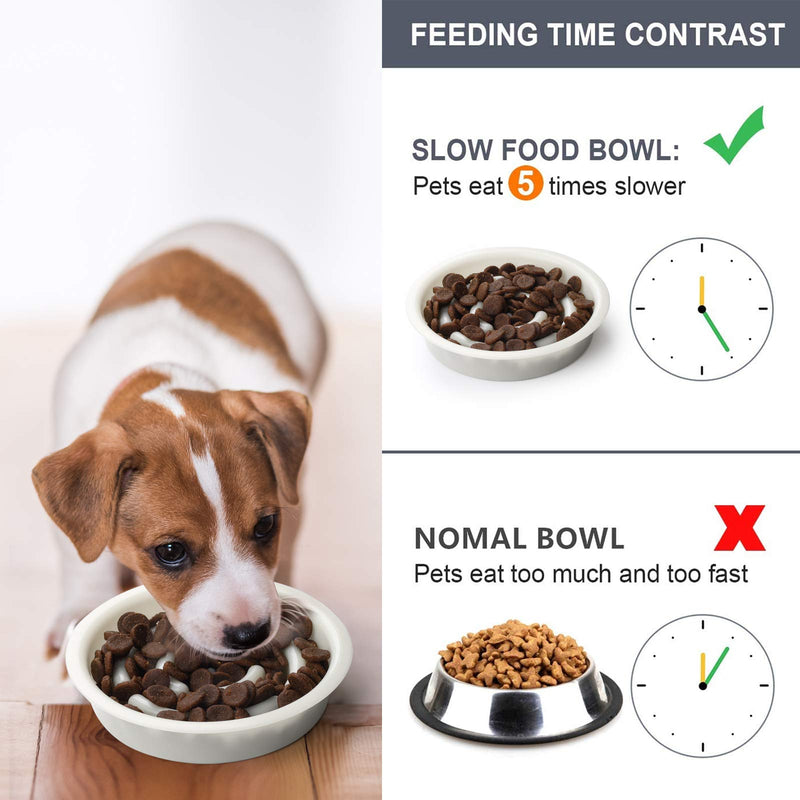 HOISTAC Small pet Dog Double Bowls with mat ,Slow Feeder Puppy Dog Bowl,Water and Food Feeder Bowls for Small Sized Dog,cat,Puppy, 2 Dog Bowls No Spill Non-Skid Silicone Mat ,Gray. - PawsPlanet Australia