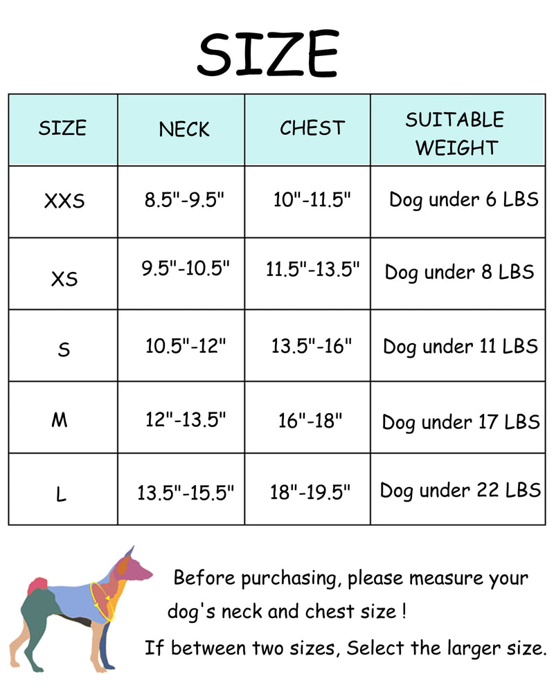 Petank Dog Harness for Small Medium Large Dogs No Pull, Puppy Harness and Leash Set, Easy Walk Dog Harness for Walking, Running, Training, Small Dog Harness, Medium Dog Harness (Green, XS) Green - PawsPlanet Australia