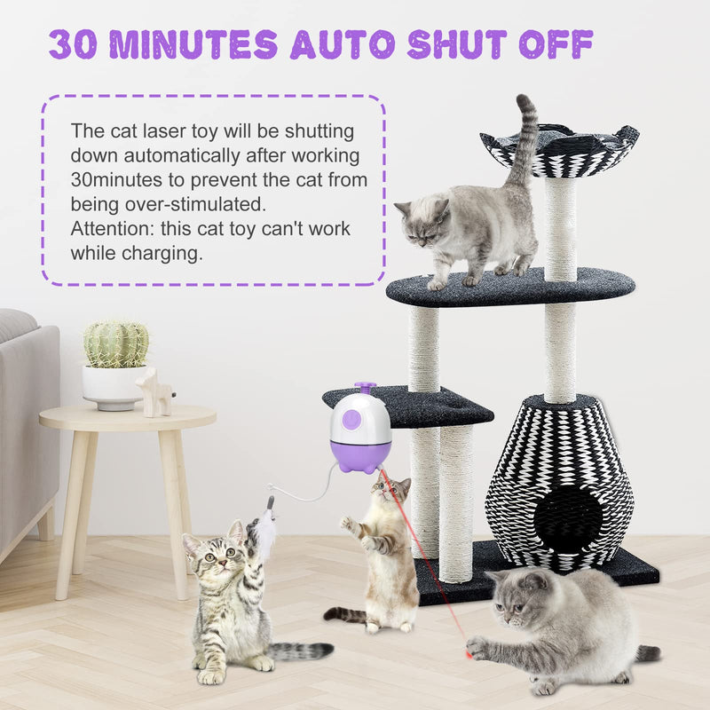 APPLYSU 2 in 1 Interactive Cat Toys for Indoor Cats, 360° Rotating Cat Feather Toy Kitten Toys, Shutdown Automatic Cat Laser Toy with Many Replacement Purple - PawsPlanet Australia