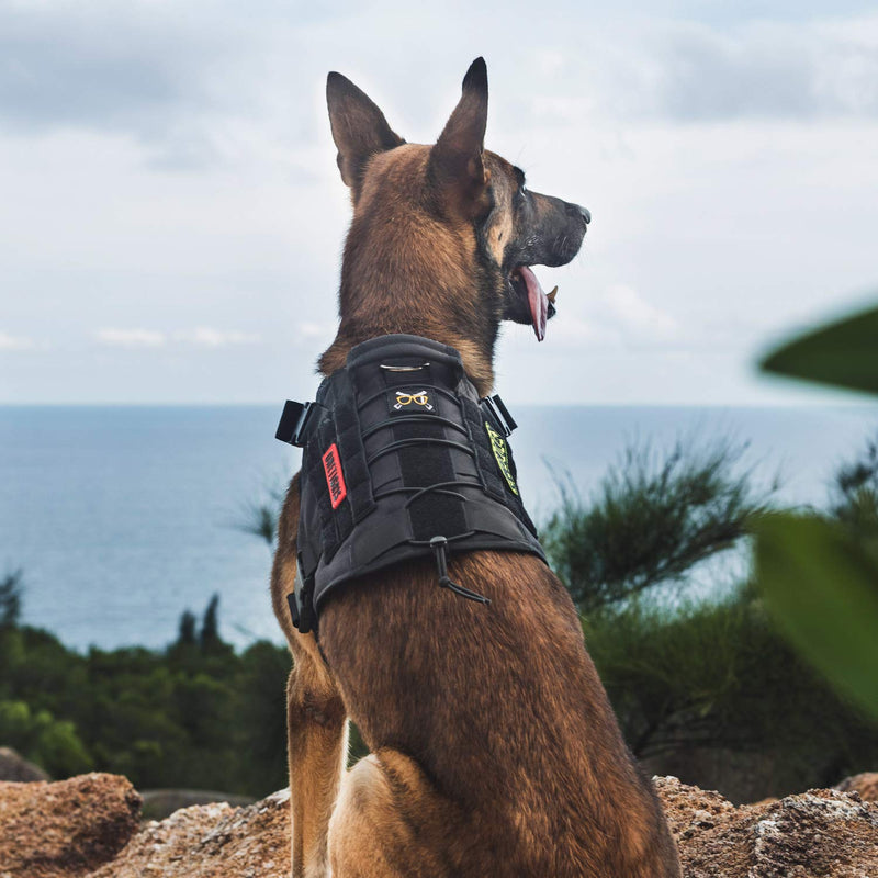 OneTigris Tactical Dog Harness Vest with Handle, Dog Harness for Large Medium Dogs,No-Pull Service Dog Vest with Hook & Loop Panels,Adjustable Dog Vest Harness for Walking(Black,Small) S Black - PawsPlanet Australia