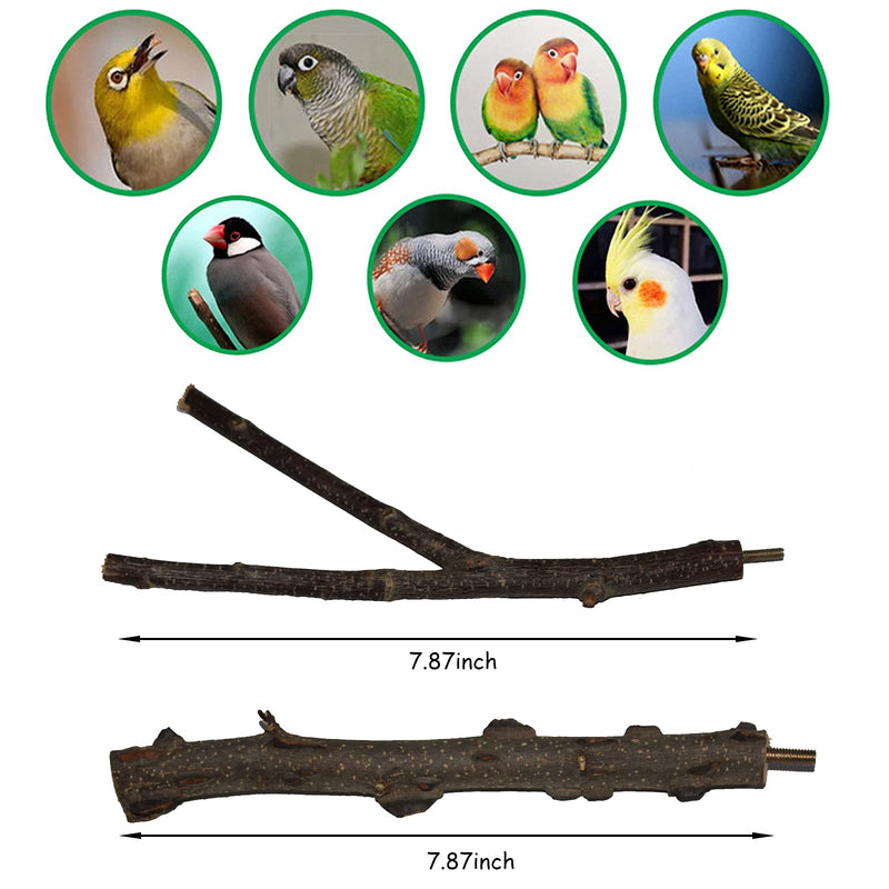 kathson Parrot Perches Birds Stand Pole Toy Natural Wood Perch Bird Cage Accessories for Parakeet, Budgies, Lovebirds（6 PCS） - PawsPlanet Australia