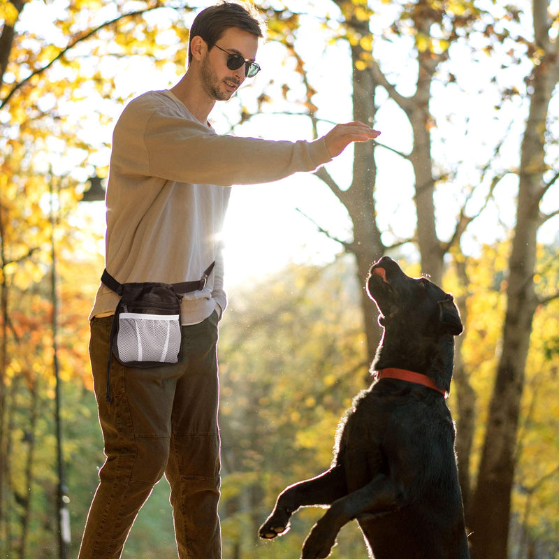 2 Pieces Dog Treat Training Pouch and 2 Rolls Dog Waste Bags,3 Ways to Wear Dog Treat Pouch with Waist Shoulder Strap, Built-in Waste Bag Dispenser Treat Training Bag for Treats, Kibbles, Pet Toys - PawsPlanet Australia