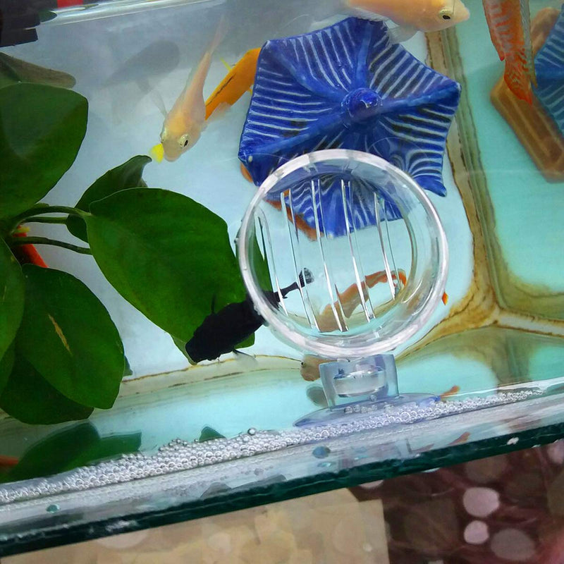 [Australia] - WEAVERBIRD Aquarium Glass Cone Feeder Red Worm Fish Tank Plant Shrimp Feeder Fish Feeding Cup 