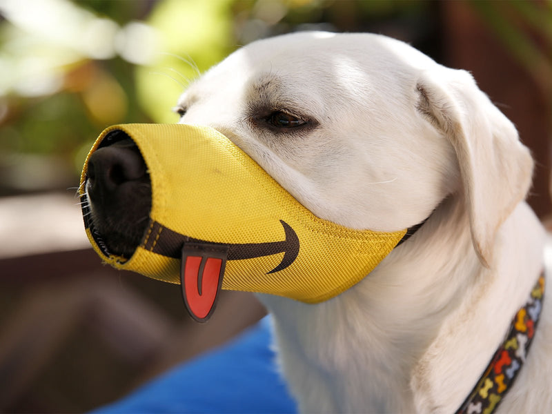 Cesar Millan funny muzzleTM - muzzle of the dog whisperer Cesar Millan, yellow, size 4 (pack of 1) - PawsPlanet Australia