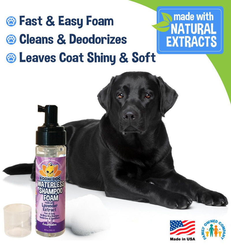 Foaming Dry Pet Shampoo No Rinse Cleaner | All Natural Waterless Foam Mousse for Dogs and Cats | Best for Bathless Cleaning & Pet Odor Eliminator | Made in USA - 1 Bottle 8oz (Lavender) - PawsPlanet Australia