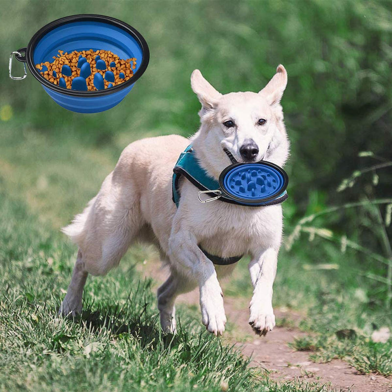 Liwein Collapsible Dog Bowl,2 Slow Feeder Dog Bowl Large Silicone Portable Pet Cat Travel Food Water Bowl with Carabiner Clips for Outdoor Camping Hiking (Blue+Red) - PawsPlanet Australia