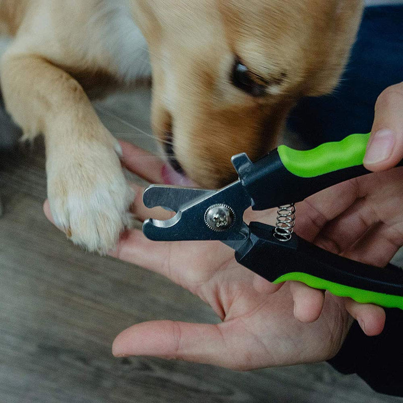 QIMMU Professional Dog Nails Clippers, Pet Nail Scissors, Claw Scissors in Salon Quality with Protective Guard, Safety Lock, Pet Grooming Tool for Dog, Cats, Birds, Rabbits - PawsPlanet Australia