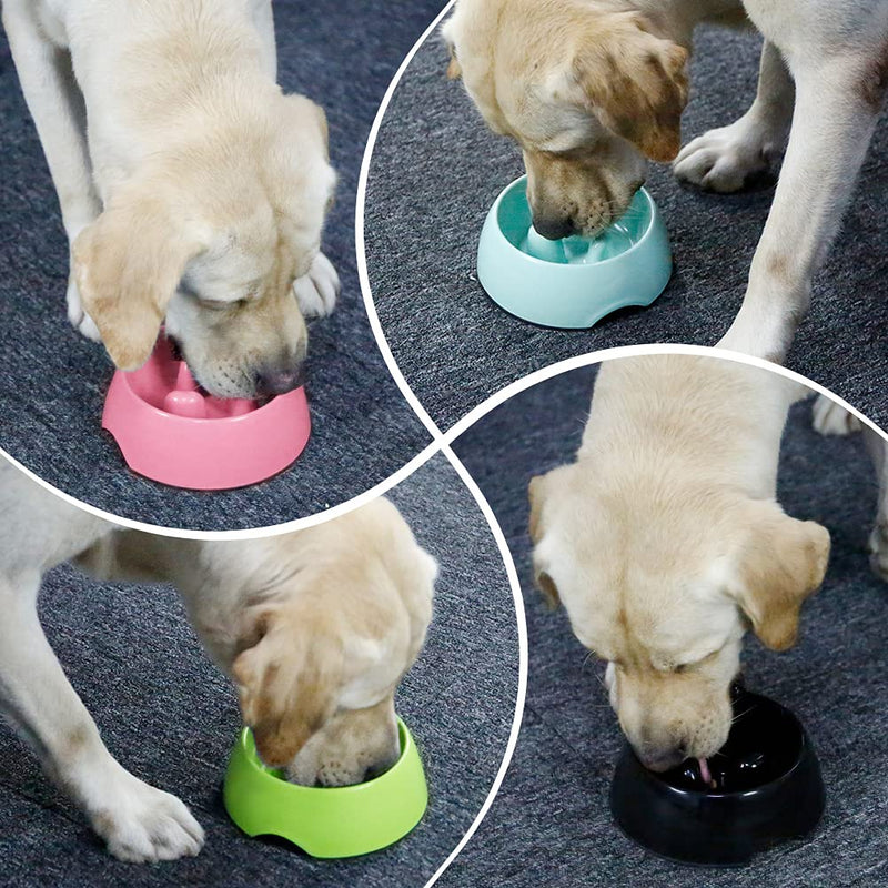 SUPER DESIGN Gobble-Stop Slow Feeder Dog Bowl Slow Eating Anti-Gulp BPA Free Melamine Bowl Fun Interactive Pet Bowl for Dogs Cats Puppies 140ml Black - PawsPlanet Australia