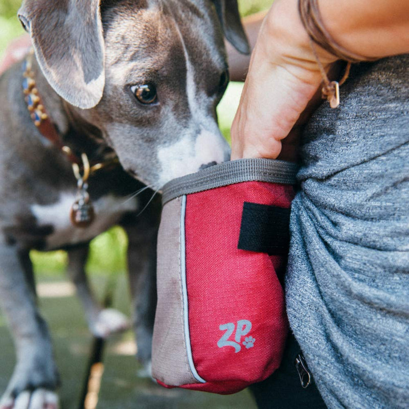 ZippyPaws - Portable Belt Adventure Dog Treat Bag Desert Red - PawsPlanet Australia