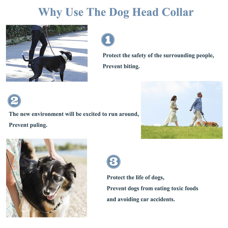 ILEPARK Dog Head Collar with Padded Fabric, Head Harness for Dogs, Anti pulling Head Halter Collar, Adjustable and Easily Control (S,Black) S Black - PawsPlanet Australia