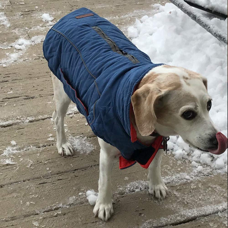 ThinkPet Warm Reversible Dog Coat - Thick Padded Comfortable Winter Dog Jacket, Reflective Safey Dog Vest XS(Back 11.5 in, Chest 15.5-19.5 in) Blue - PawsPlanet Australia