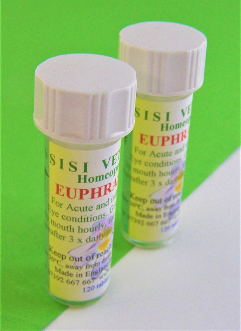 ASSISI VETERINARY Euphrasia 6c Homeopathy Remedy Dogs Cats Horses Small Animals Birds 240 Pillules - PawsPlanet Australia