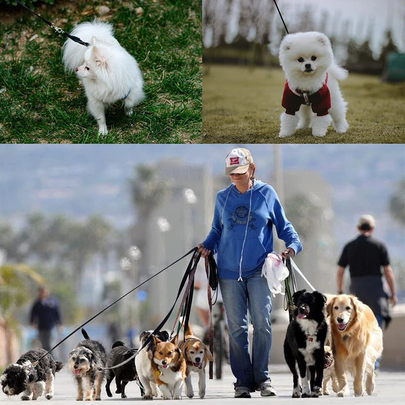 Towing leash for dogs 50m, Mainiusi towing leash 50m, dog leash 50m, running leash for dogs, cross-country skiing leash for large dogs, training leash for dogs, towing leash for large small dogs (50m, black) - PawsPlanet Australia