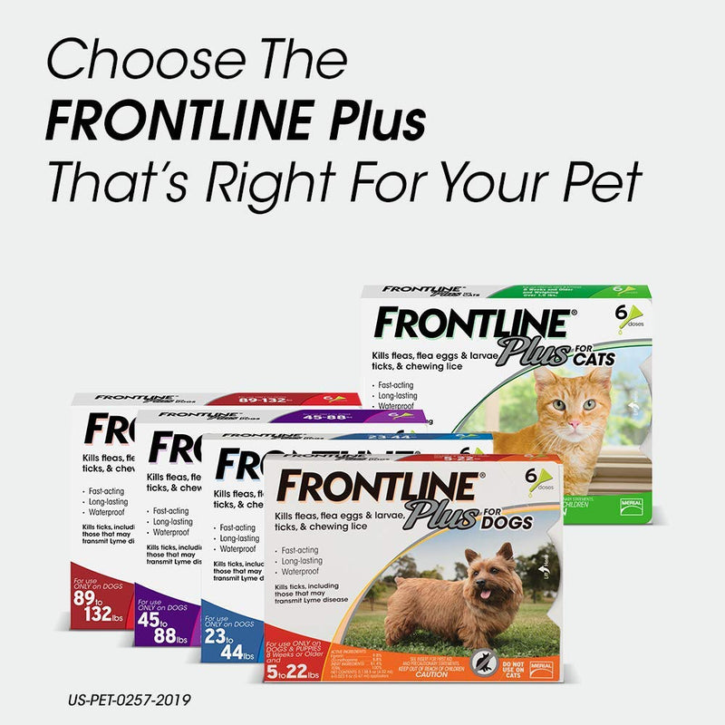 [Australia] - FRONTLINE Plus Flea and Tick Treatment for Cats (8 Doses) 