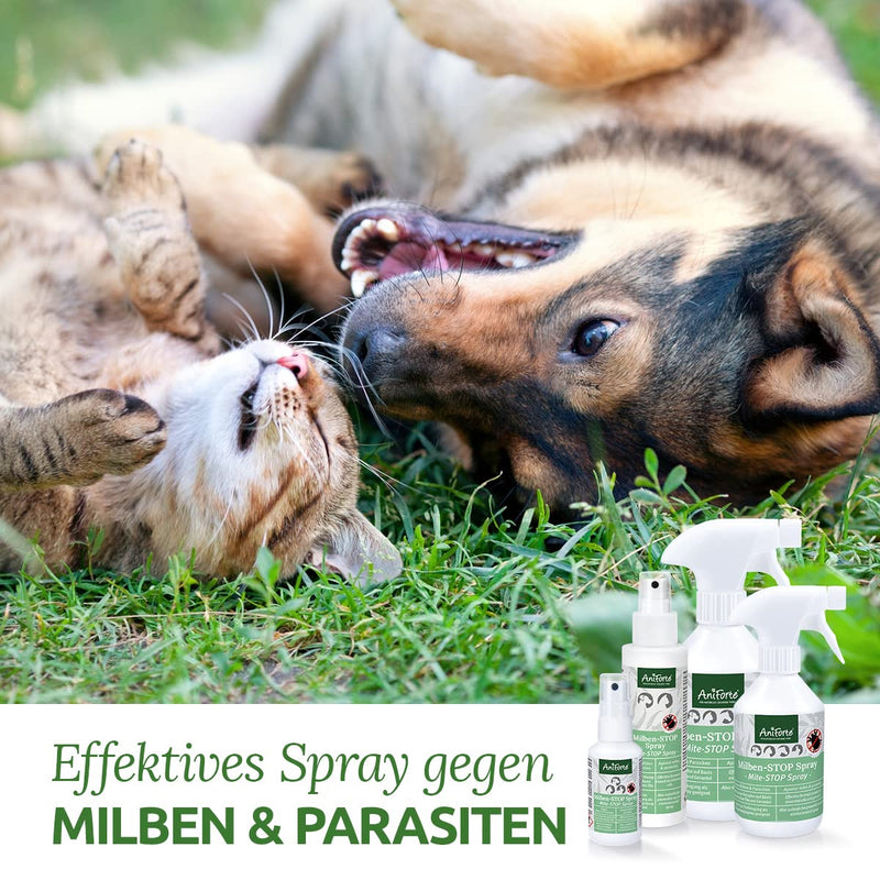 AniForte mite spray for dogs, cats, pets and farm animals 50 ml - anti-mite spray for effective defense against insects, parasites and vermin, mite stop and mite protection against mite infestation - PawsPlanet Australia