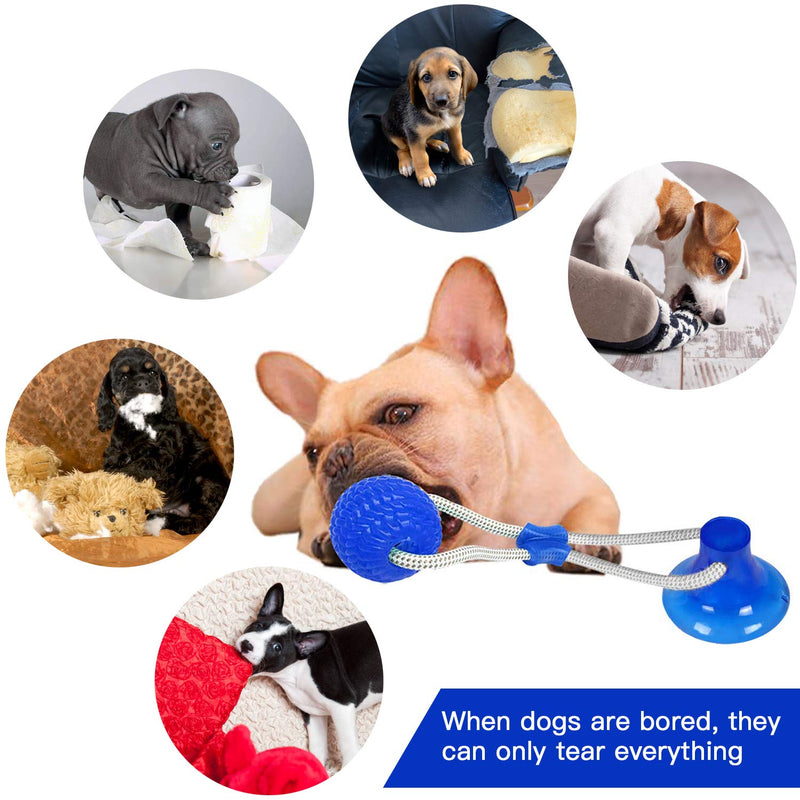 Suction Cup Dog Toy, Multifunction Pet Molar Bite Toy with Strong Rope and Powerful Suction Cup for Tug and Chewing, Helps Clean Teeth Blue - PawsPlanet Australia