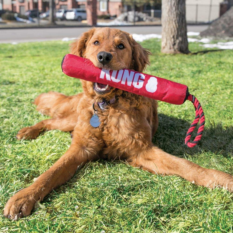 KONG Signature Stick with Rope - Medium - PawsPlanet Australia