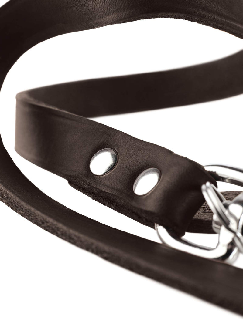 HUNTER Training leash, 20/200 Soft genuine cow leather, dark brown Large - PawsPlanet Australia